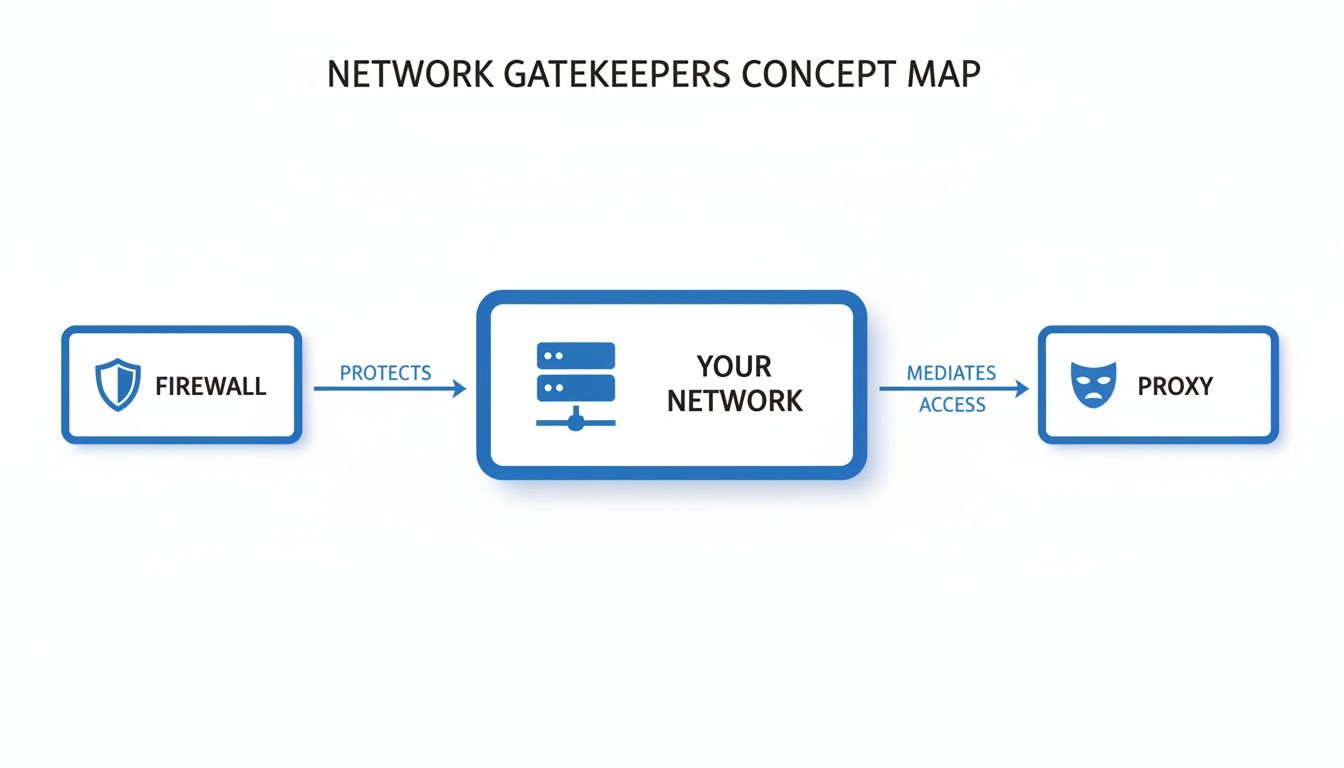 Concept map illustrating network gatekeepers: a firewall protects your network, which mediates access to a proxy.