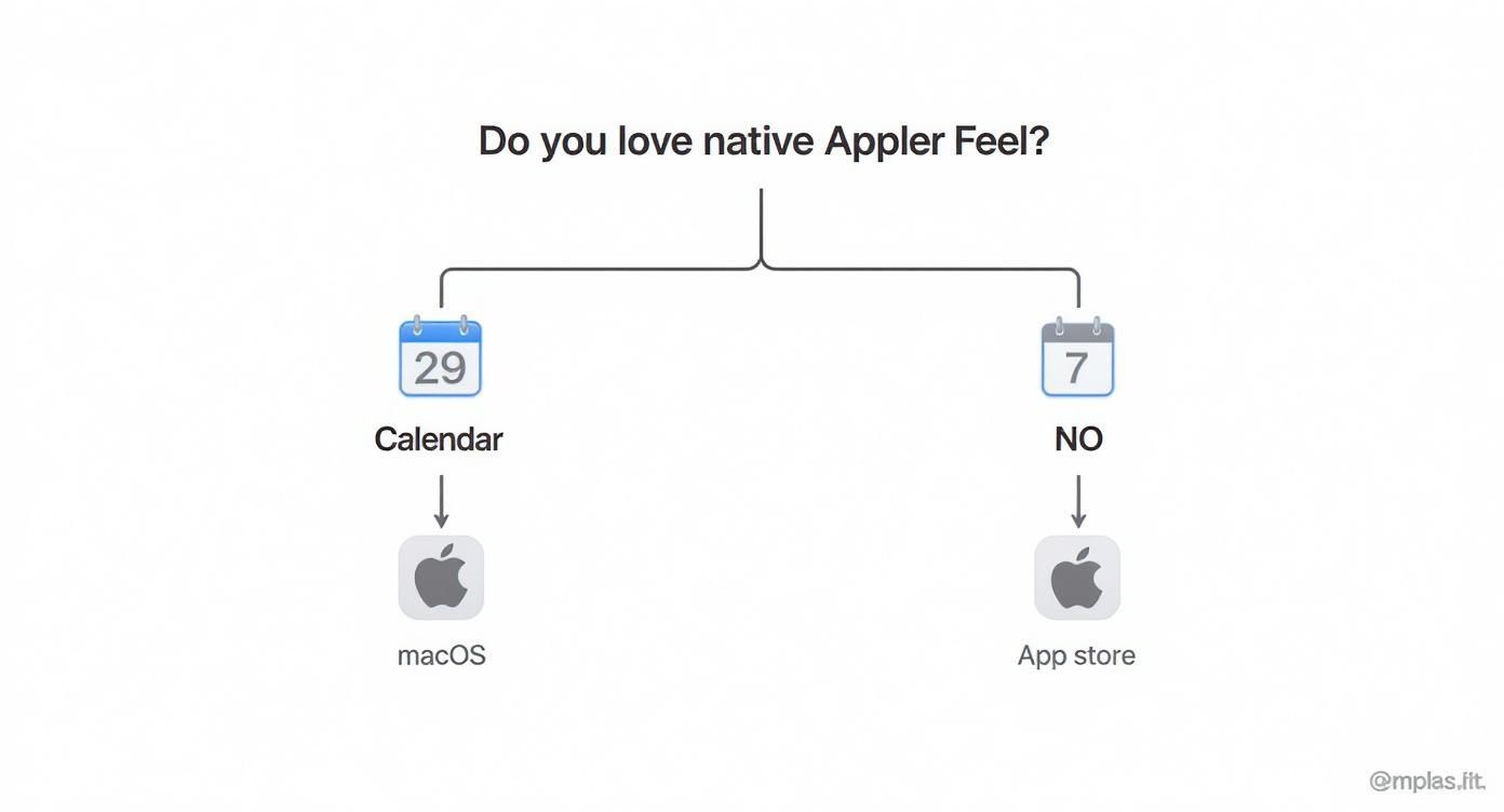 An infographic decision tree helping users decide between the native macOS calendar and a third-party app based on their preference for the Apple feel.