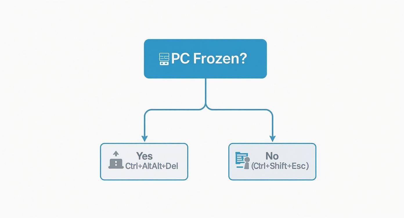 Infographic about task manager on windows 10