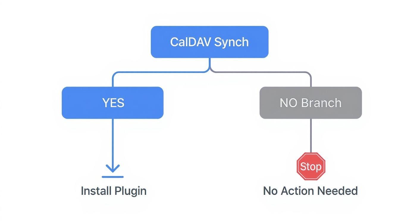Infographic decision tree for CalDAV Sync with Outlook