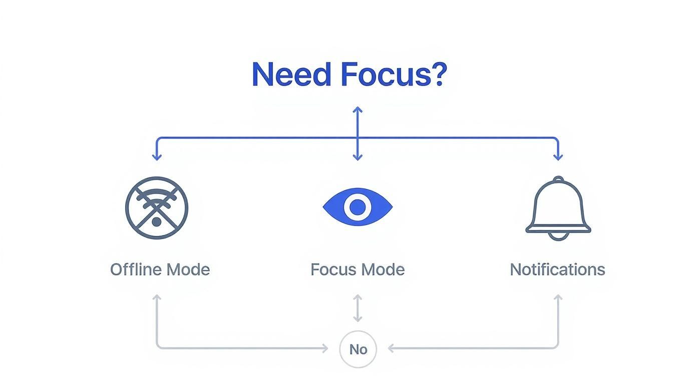 An infographic displaying options for managing digital focus: Offline Mode, Focus Mode, and Notifications settings.