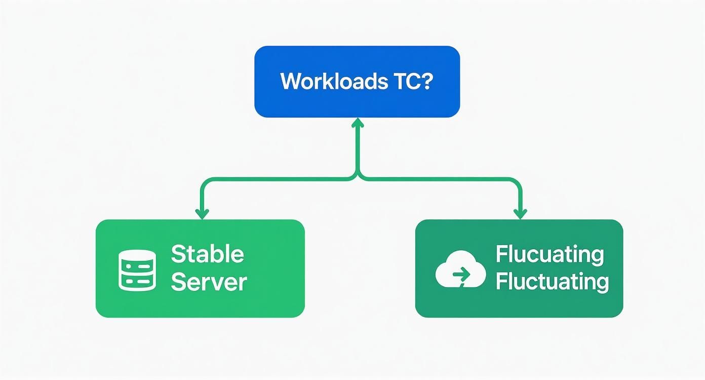 Flowchart showing workload types determining choice between stable server and fluctuating cloud hosting