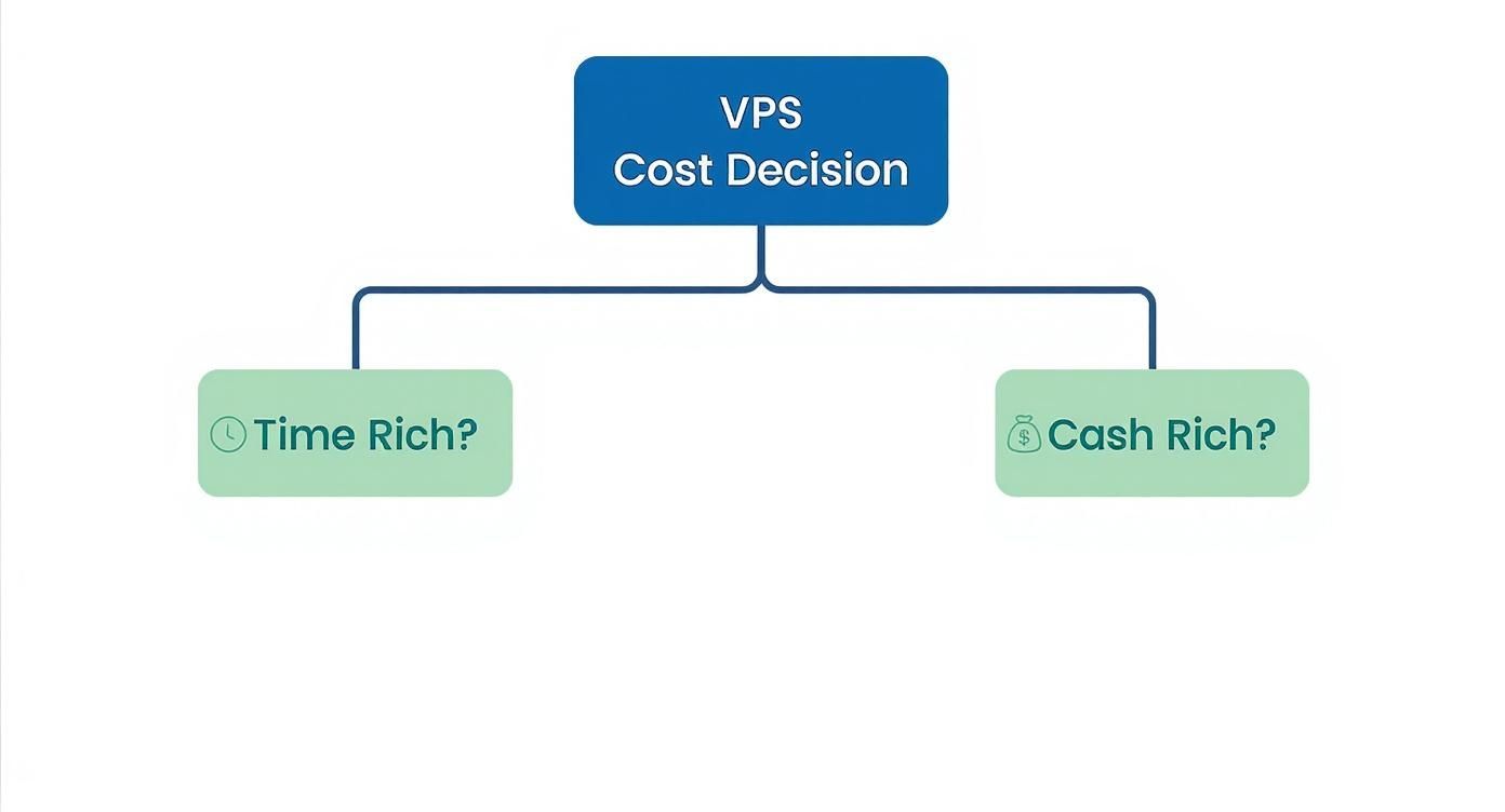 Decision flowchart showing VPS cost considerations between time rich and cash rich options