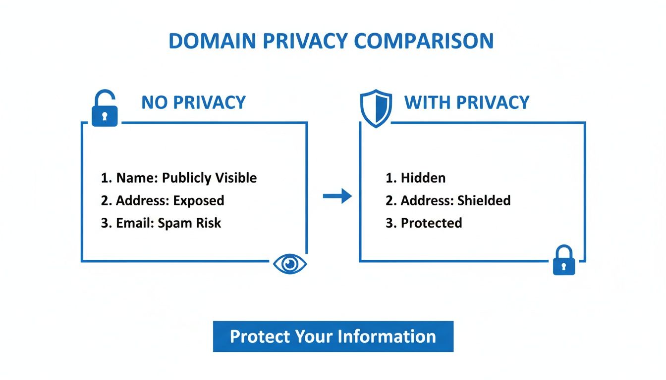 An image comparing domain privacy protection, showing publicly visible information versus hidden and protected data.