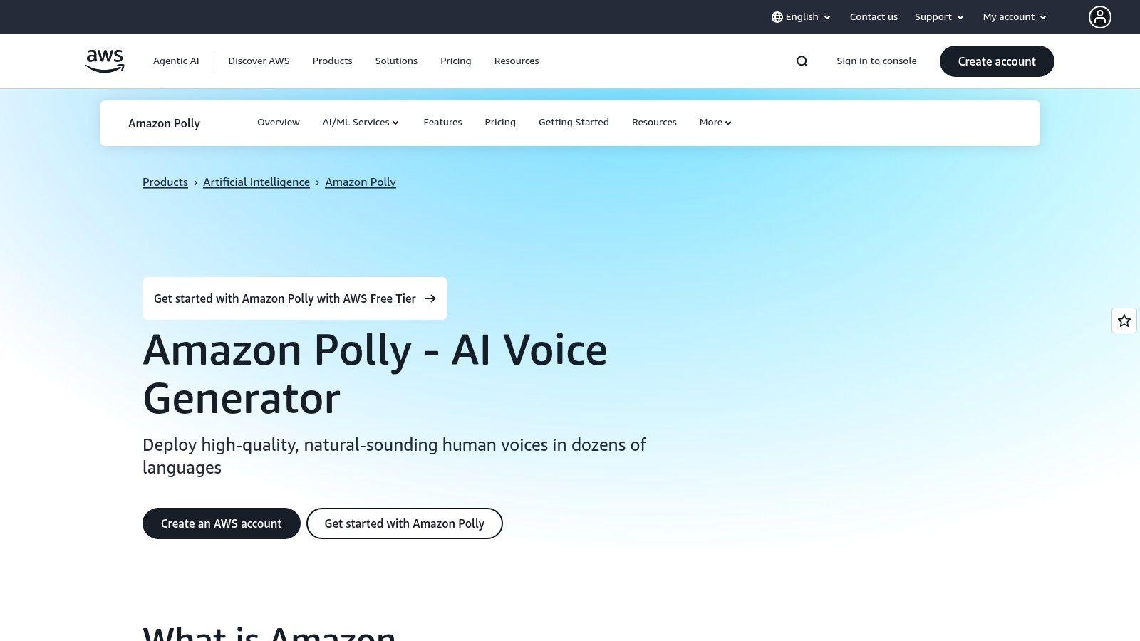 Amazon Polly (AWS)