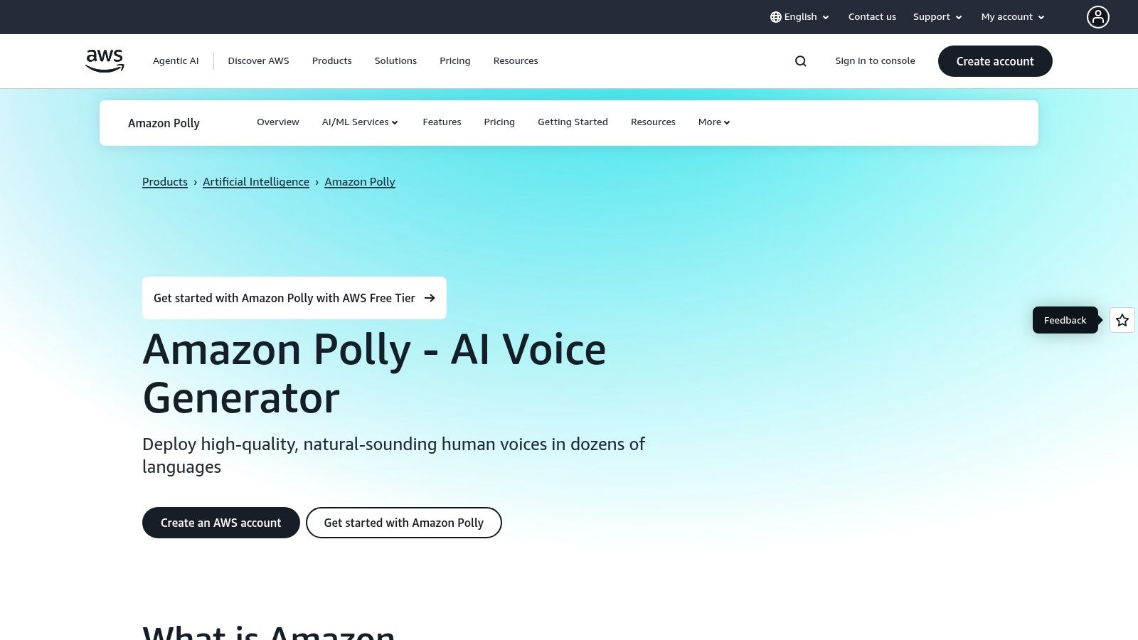Amazon Polly