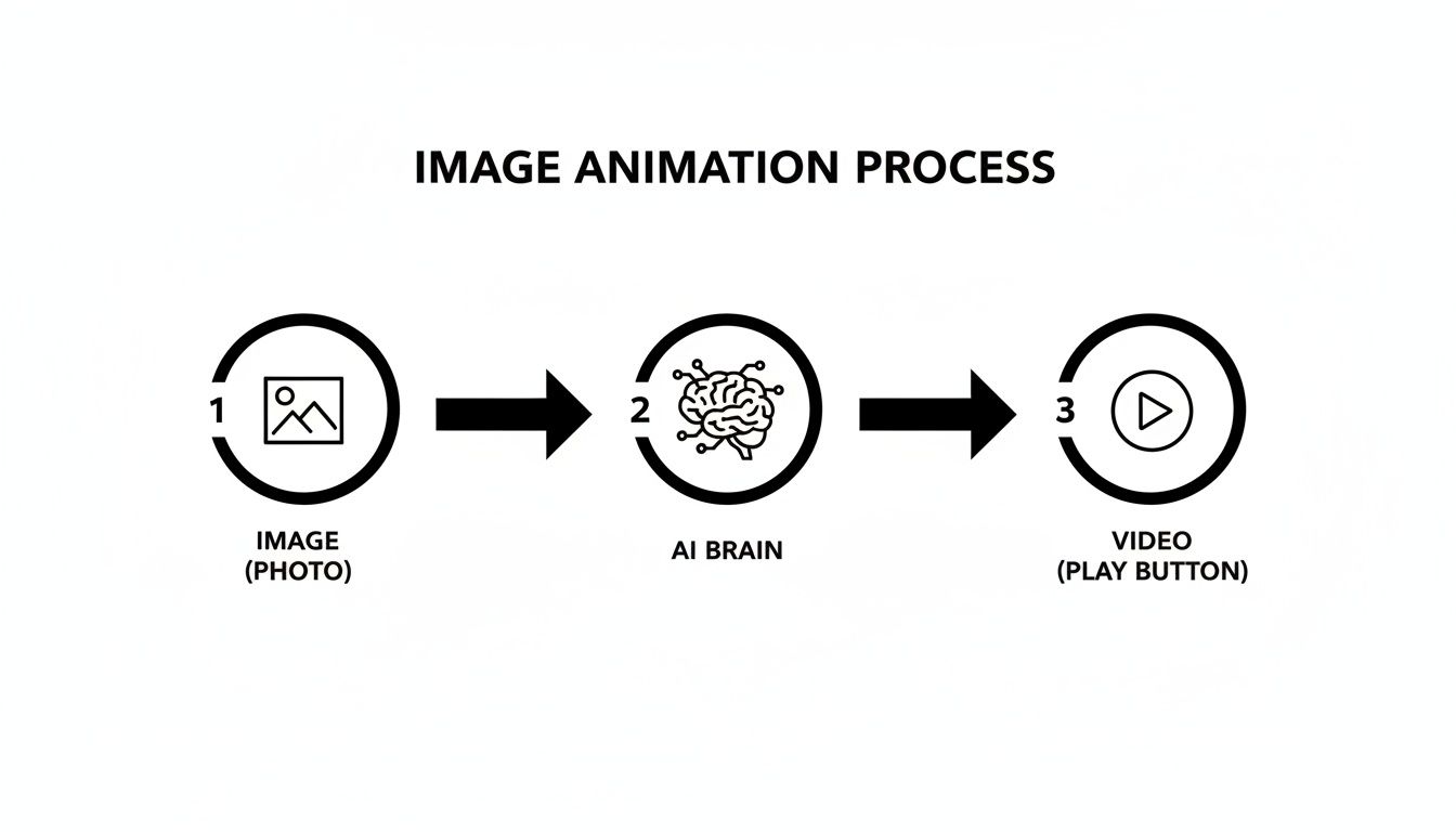 Diagram showing image to video animation process with AI: image input, AI processing, and video output.