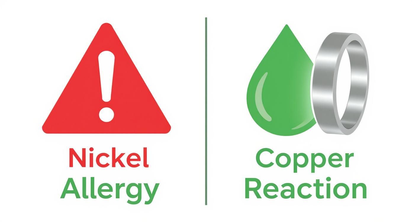 Infographic comparing a nickel allergy with a harmless copper reaction.