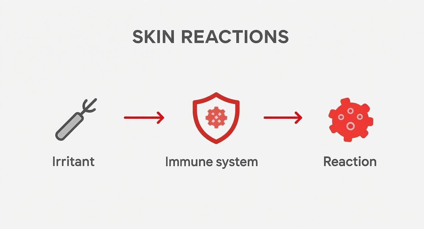 Infographic about what is hypoallergenic jewelry