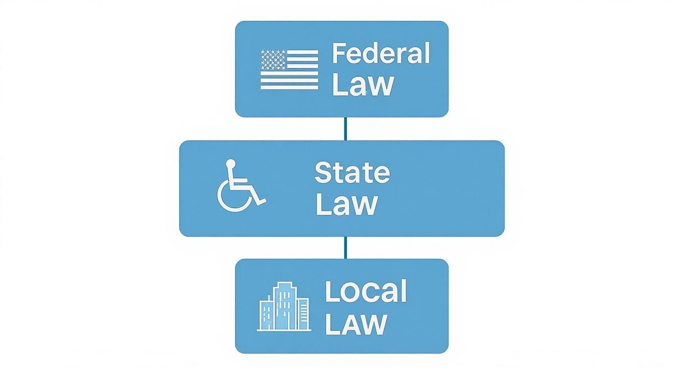 Infographic about do you need a driver's license to use an electric wheelchair
