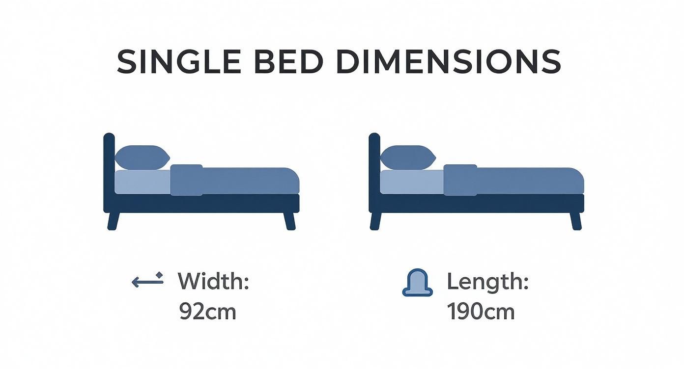 Infographic about single bed dimensions