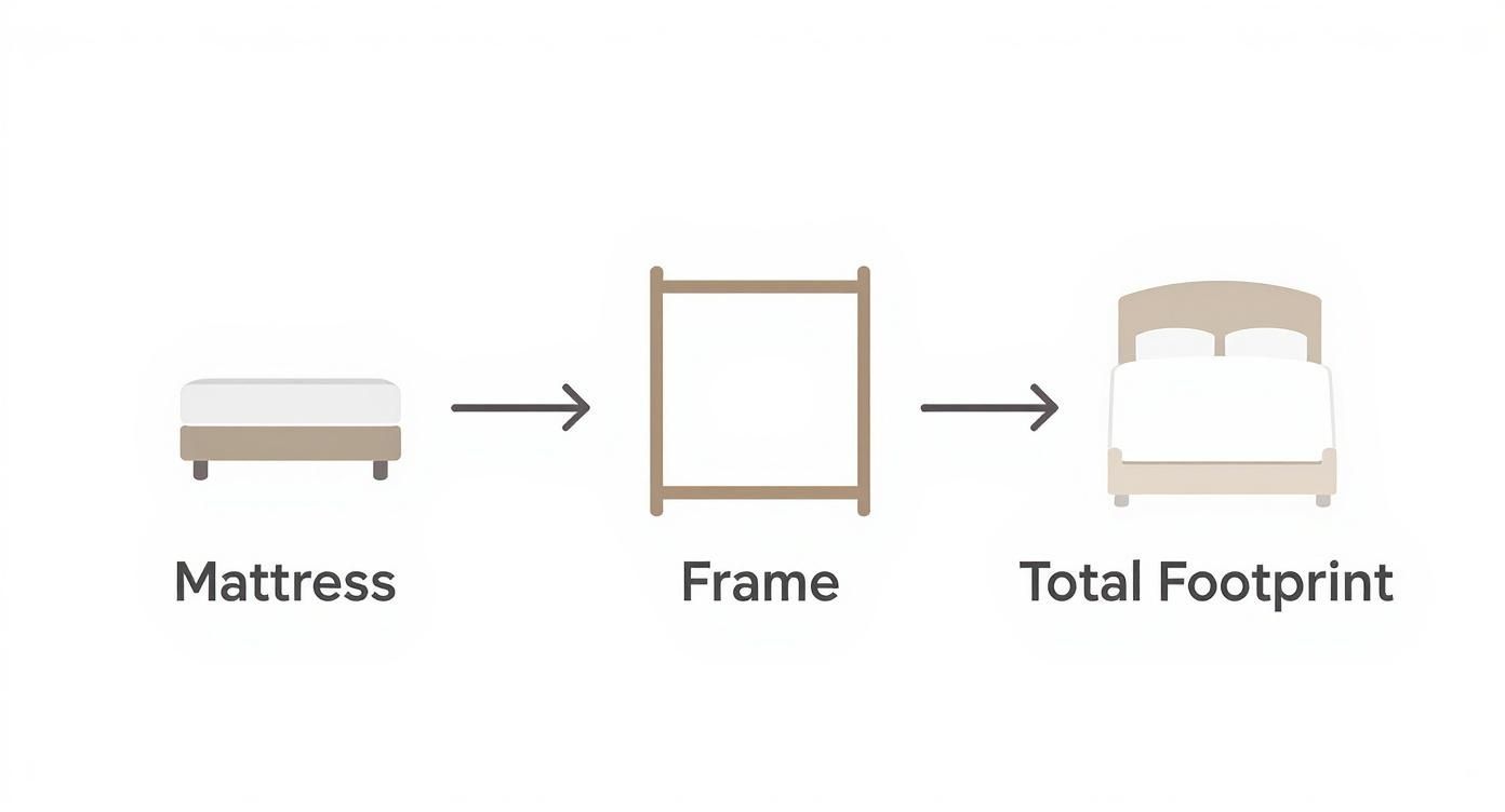 Infographic about how big is a queen size bed