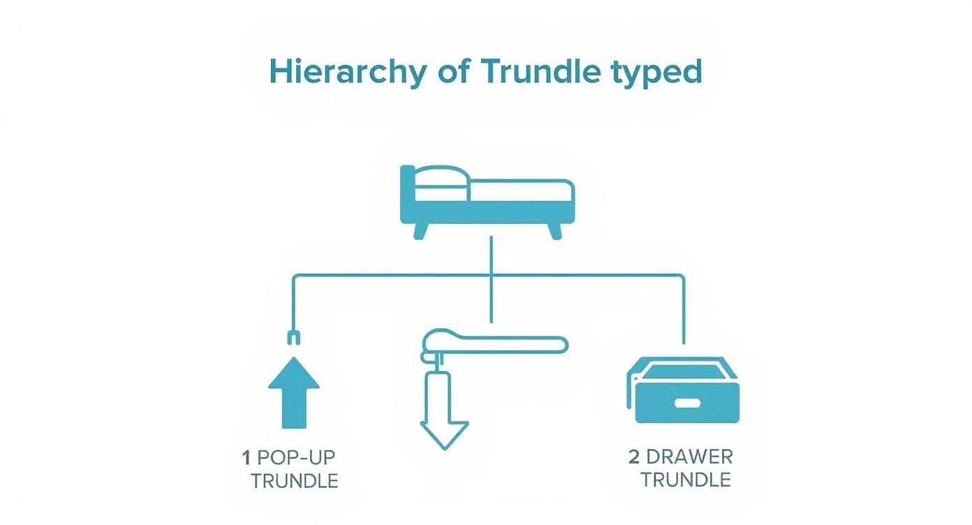 Infographic about single bed with trundle
