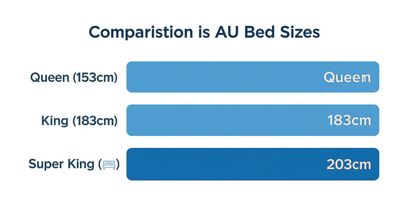 Infographic about king size bed dimensions cm australia