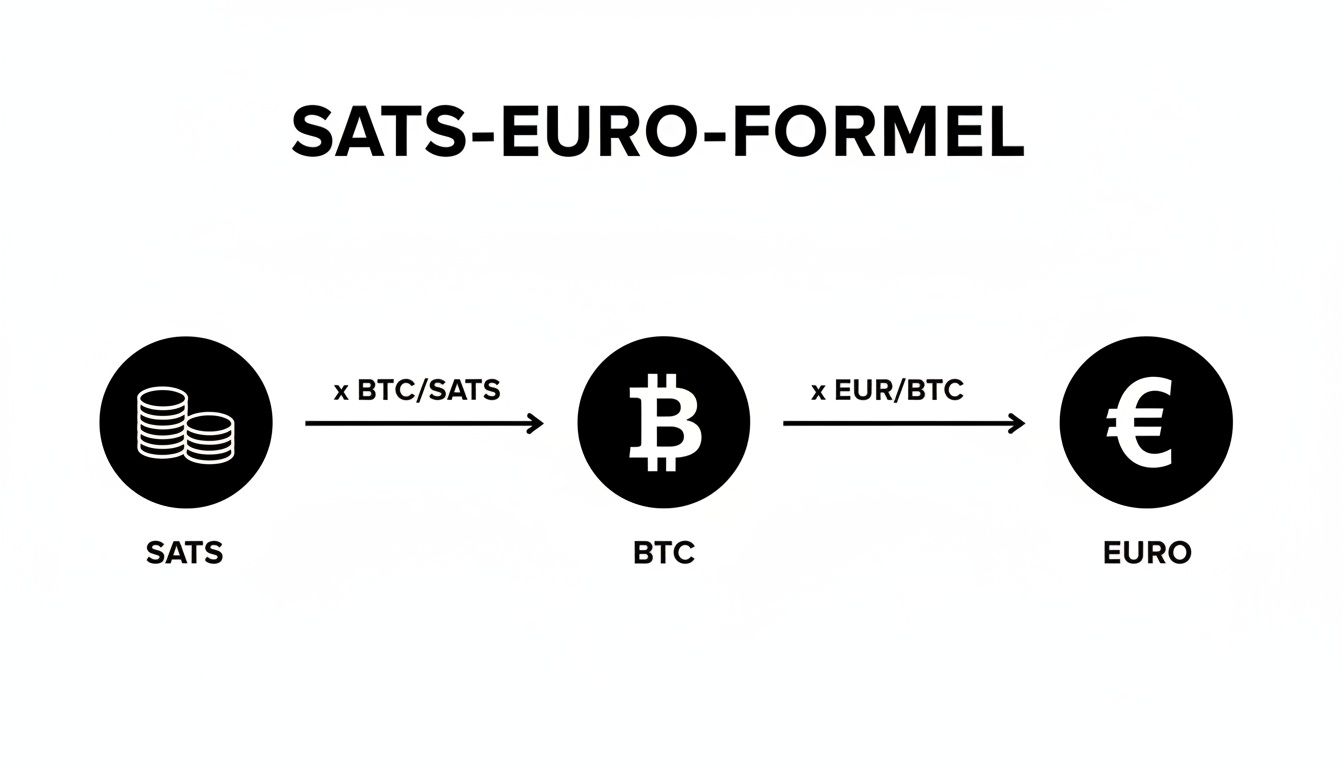Eine Formel visualisiert die Umwandlung von SATS in Euro unter Verwendung von BTC- und EUR-Kursen.