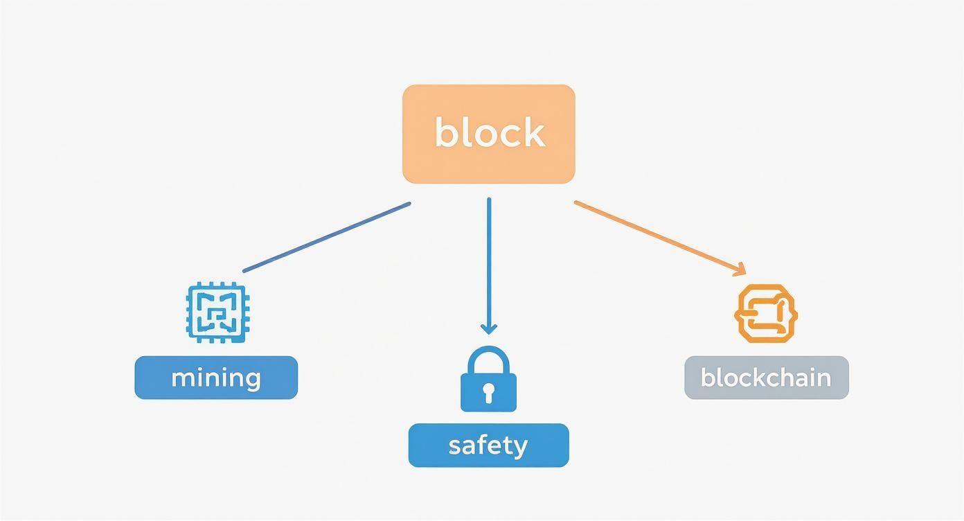 Infographic about bitcoins einfach erklärt