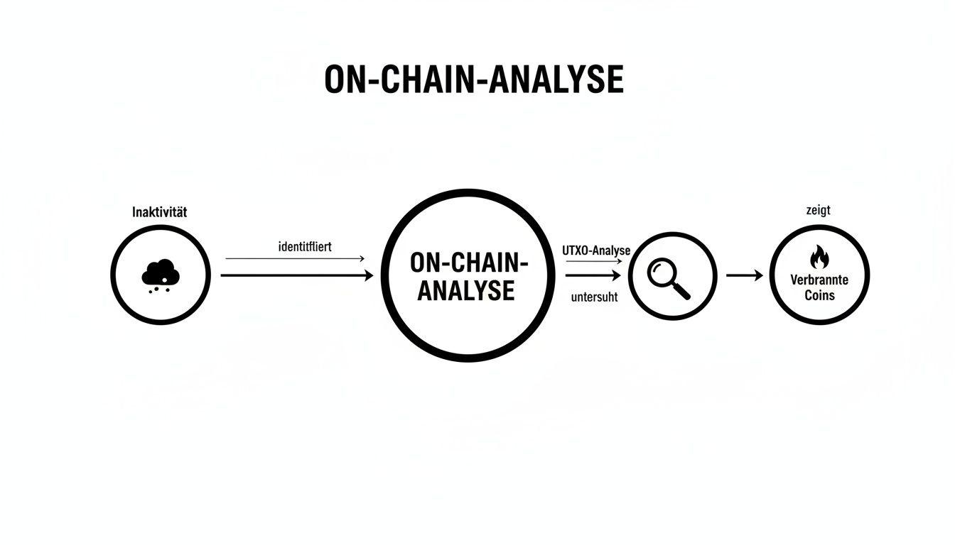 Flussdiagramm zur On-Chain-Analyse, das Inaktivität identifiziert und verbrannte Coins durch UTXO-Analyse aufzeigt.