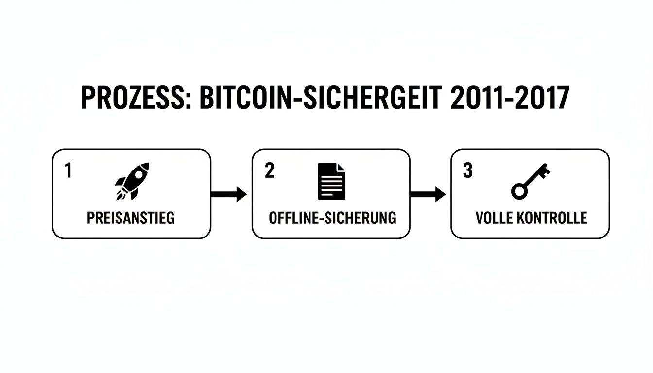 Prozessdiagramm zur Bitcoin-Sicherheit 2011-2017, das Preisanstieg, Offline-Sicherung und volle Kontrolle darstellt.