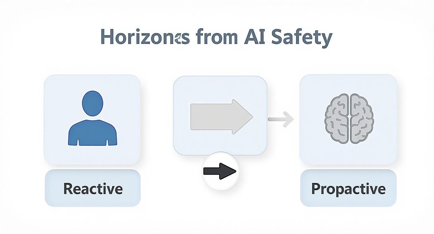 Infographic about trust and safety