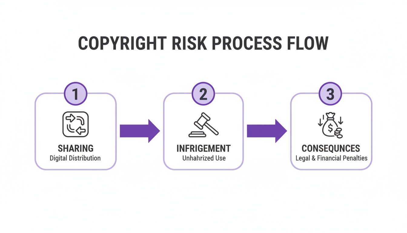 A three-step diagram illustrates the copyright risk process flow: sharing, infringement, and consequences.