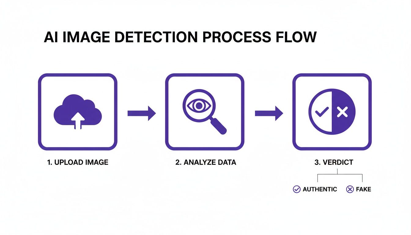 AI image detection process flow diagram illustrating upload, analysis, and verdict (authentic or fake).