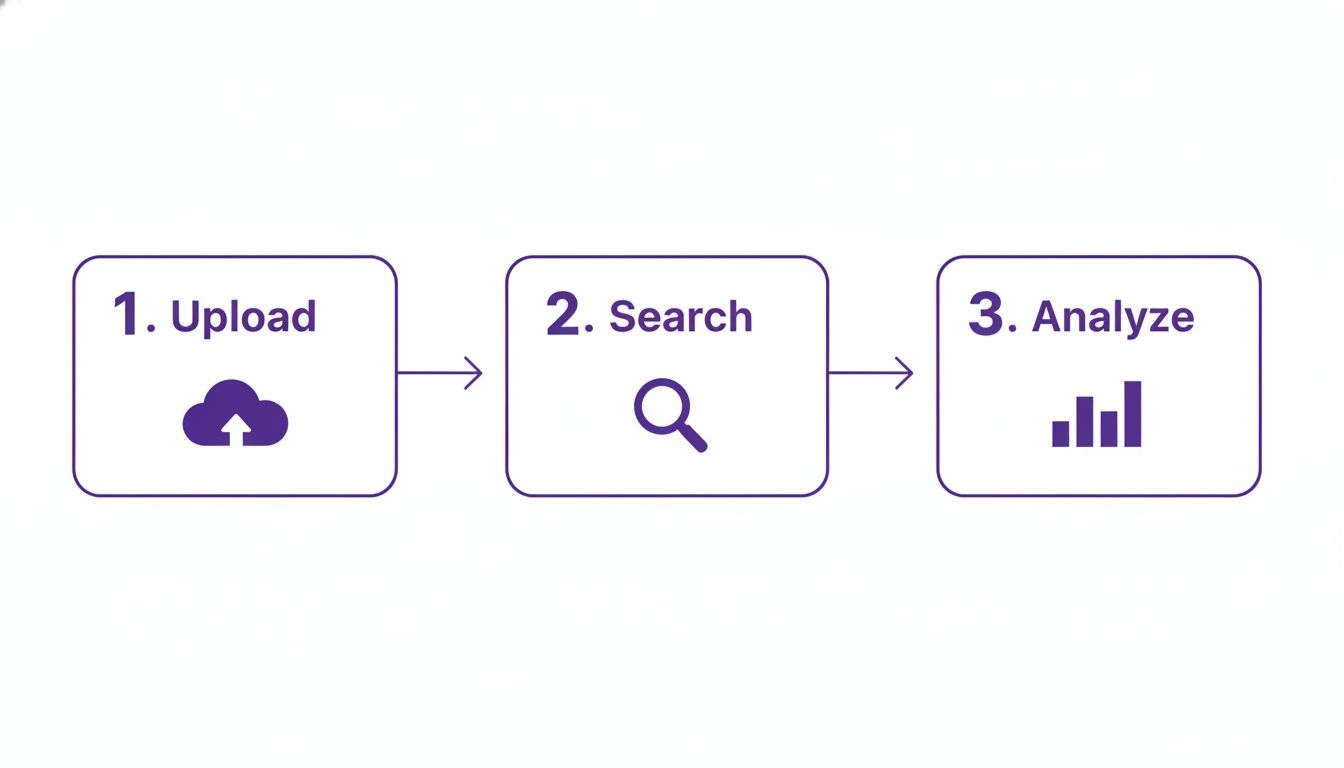 A three-step process infographic illustrating upload, search, and analyze with corresponding icons.