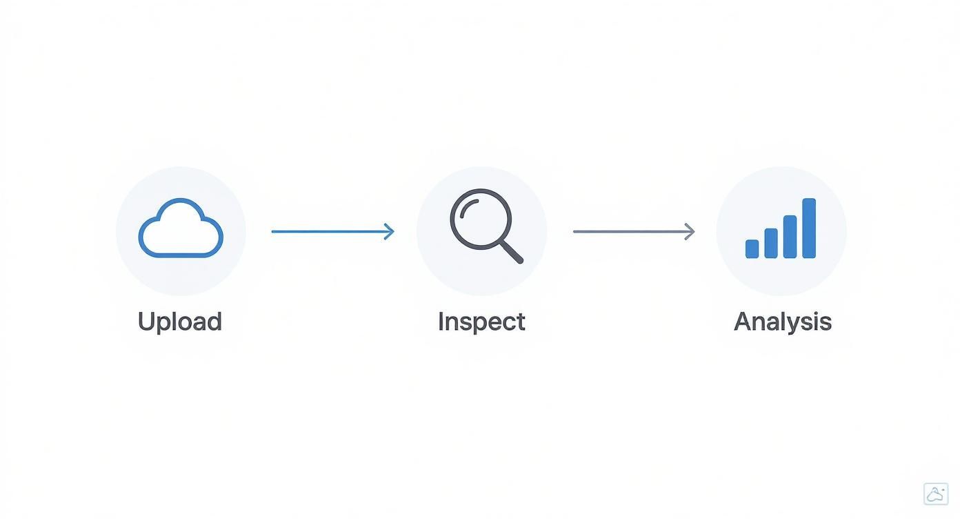 An illustration depicting a three-step data workflow: Upload (cloud), Inspect (magnifying glass), and Analysis (bar chart).