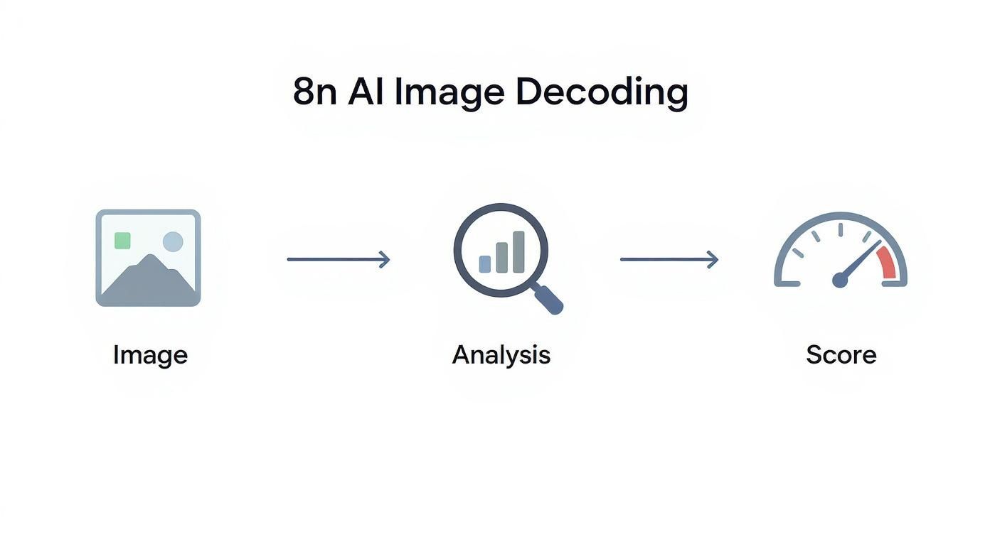 Infographic about image analyzer ai