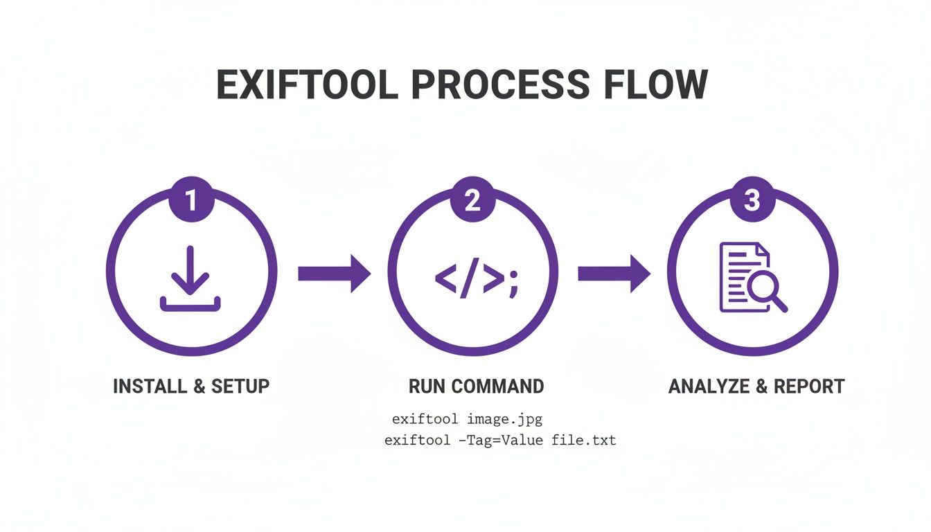 A three-step ExifTool process flow: Install, Run Command, and Analyze & Report metadata.