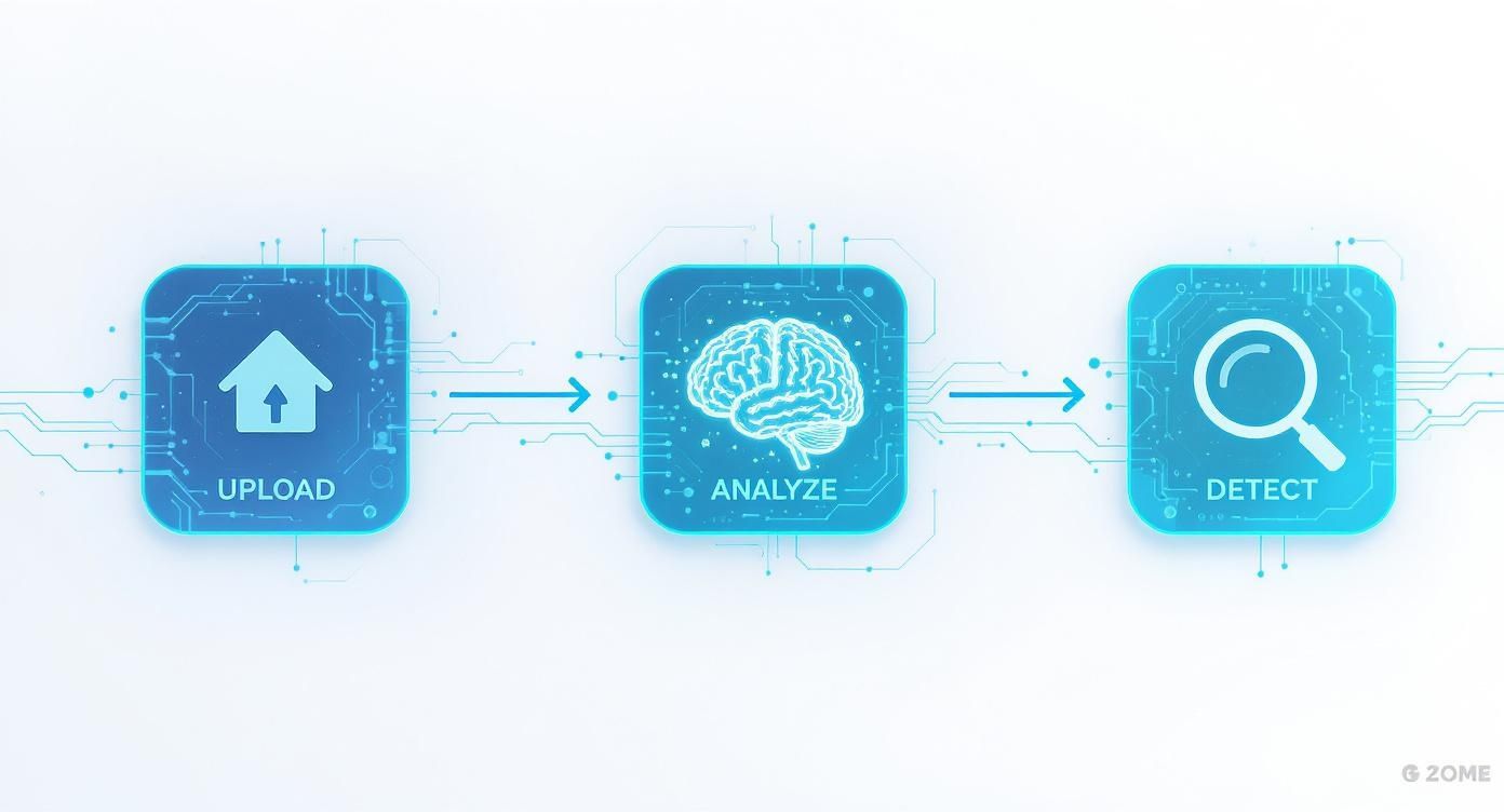 A three-step digital process diagram: upload data, analyze with a brain, and detect with a magnifying glass.