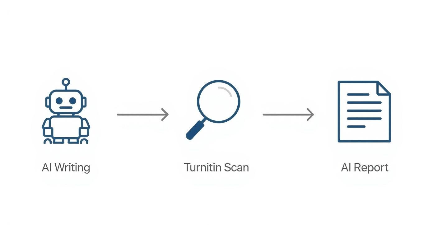 Infographic about can turnitin detect chat gpt