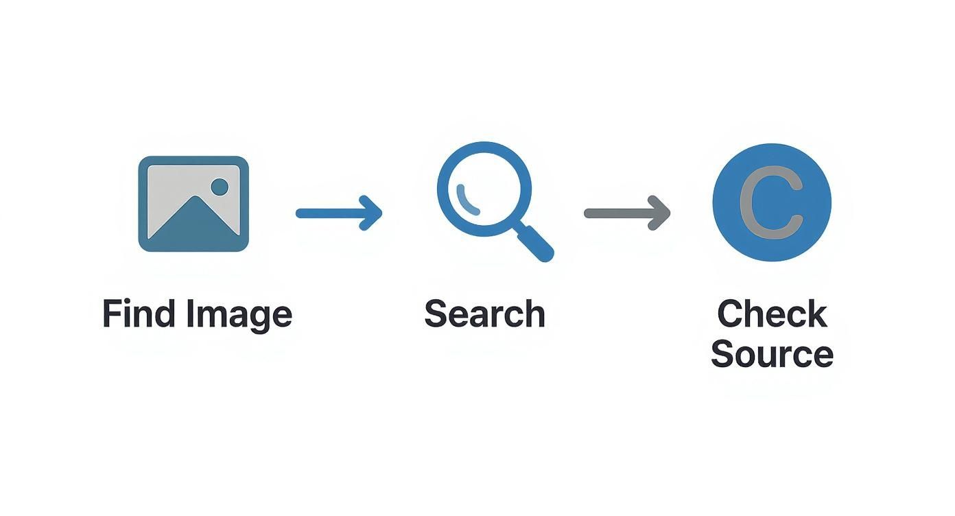 Flowchart illustrating steps to verify an image: Find Image, Search, then Check Source.