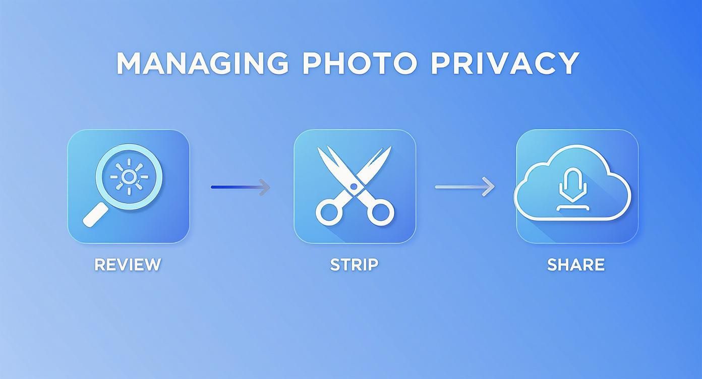 Three step workflow showing review, strip metadata, and share icons for managing photo privacy
