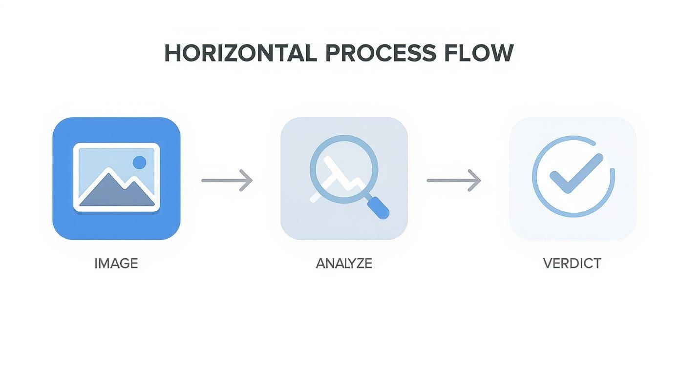 Infographic about image ai detector