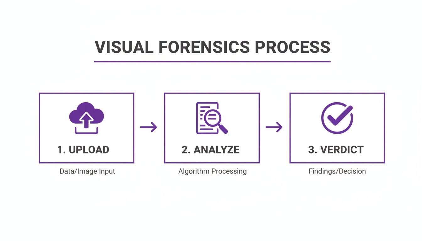 A three-step visual forensics process: upload data, analyze it with algorithms, and determine a verdict.