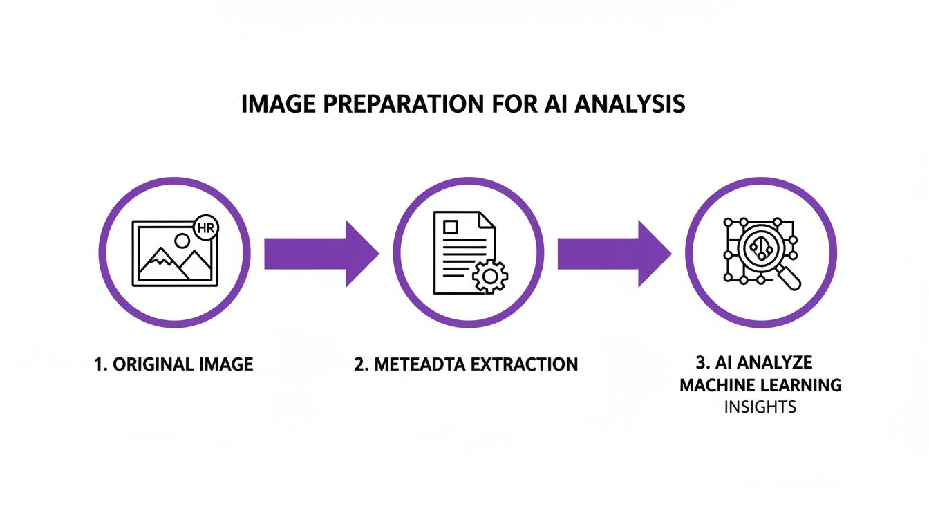 Process diagram for AI image analysis: original image, metadata extraction, and machine learning insights.