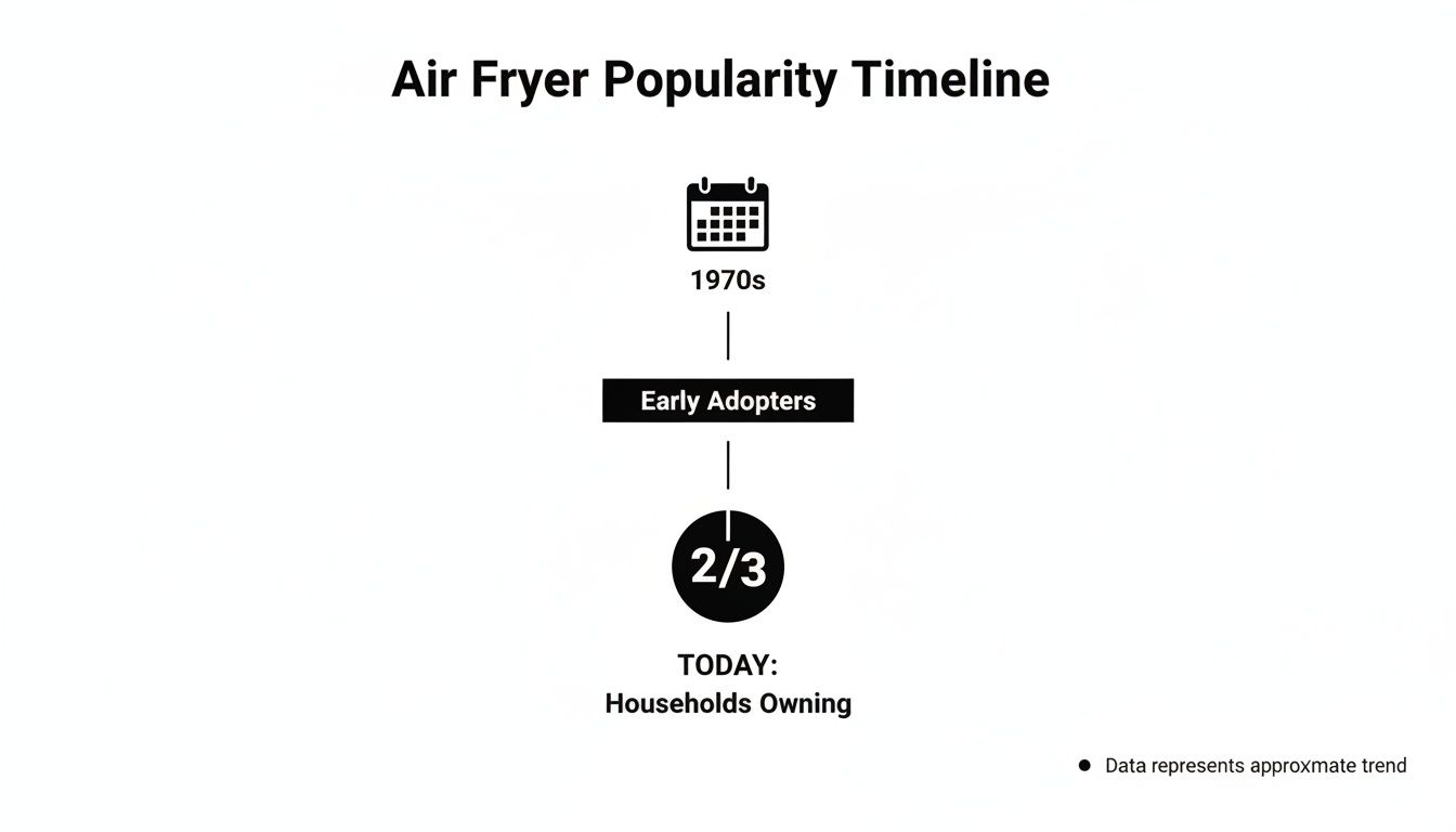 Air Fryer popularity timeline showing early adoption in the 1970s and current household ownership.