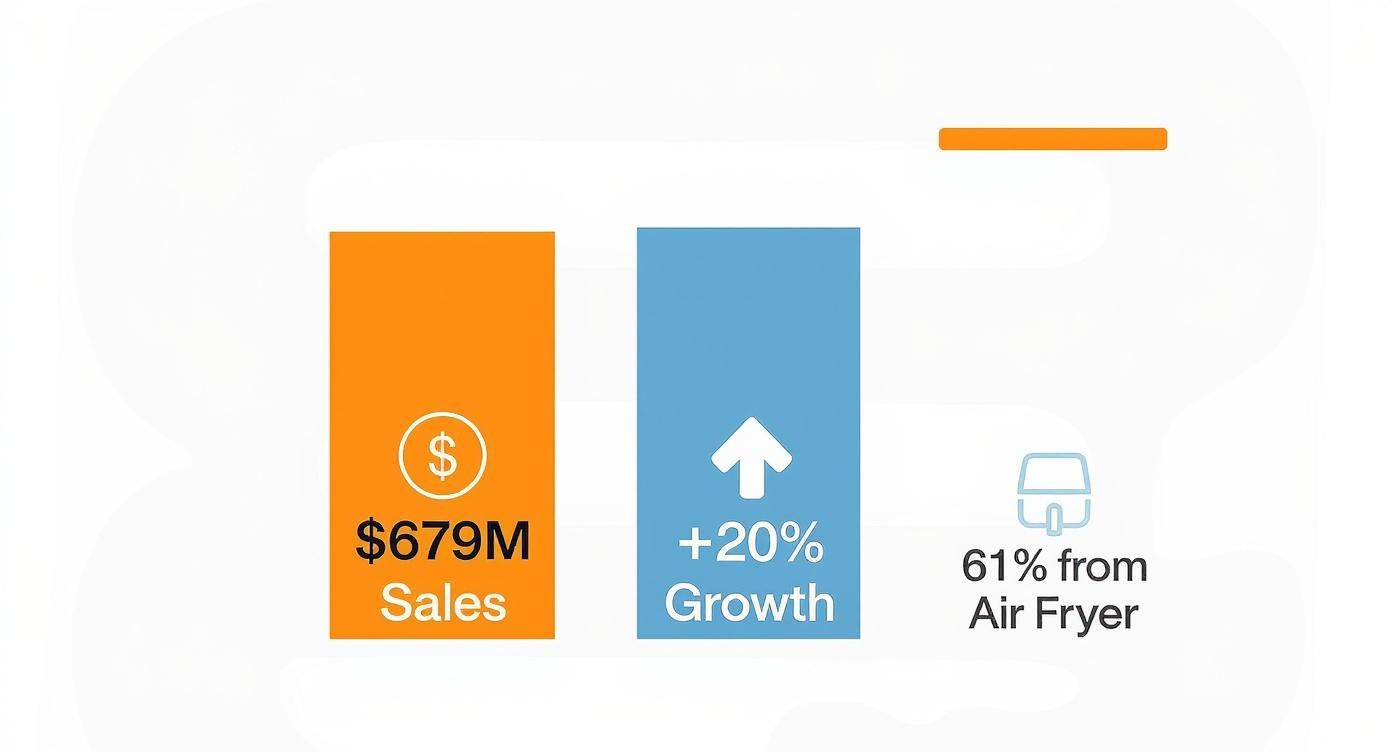 Infographic displaying sales of $679M, 20% growth, and 61% from air fryer products.