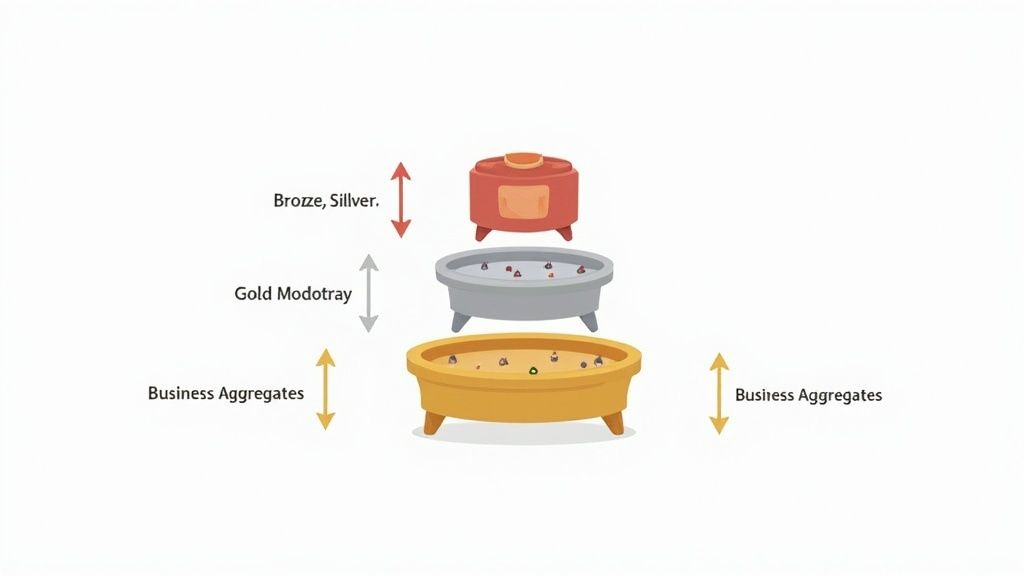 Medallion Architecture (Bronze/Silver/Gold)