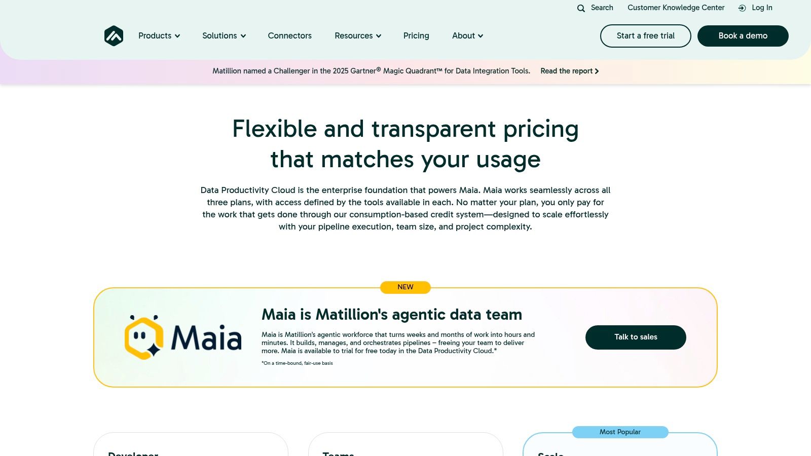 Matillion Data Productivity Cloud
