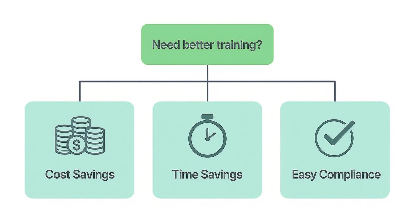 Infographic about what is a learning management system