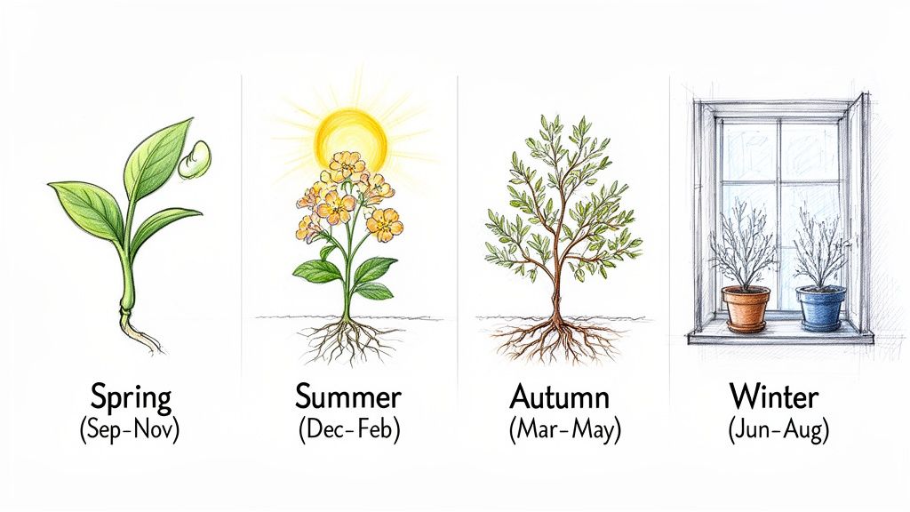 Illustrations showing a plant's life cycle through the four seasons: spring, summer, autumn, and winter with months.