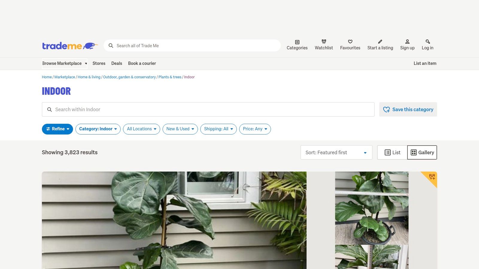 Trade Me Marketplace – Indoor Plants Category (NZ)