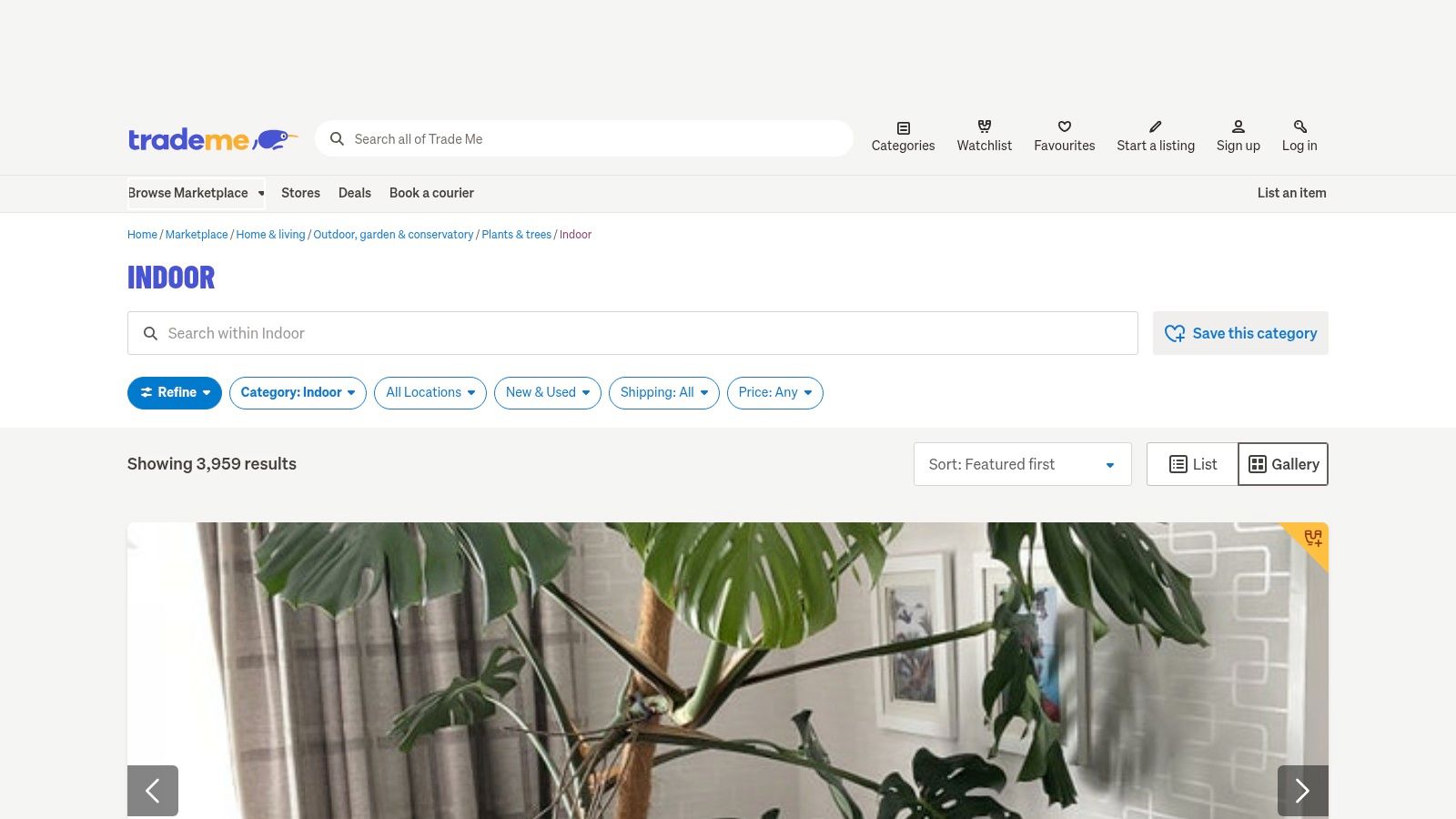 Trade Me (Indoor Plants category)