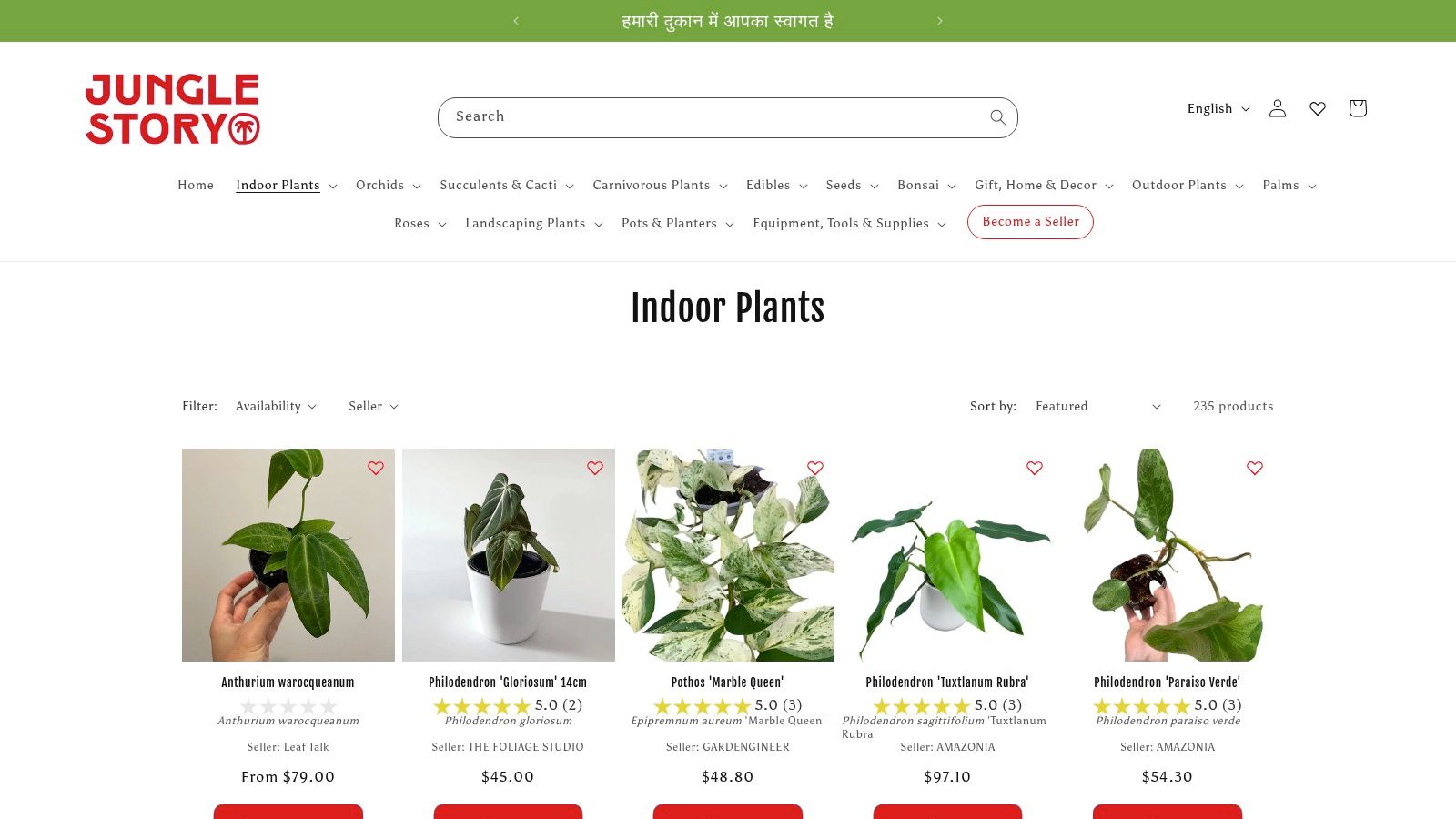 Indoor collectable house plants for sale – Jungle Story