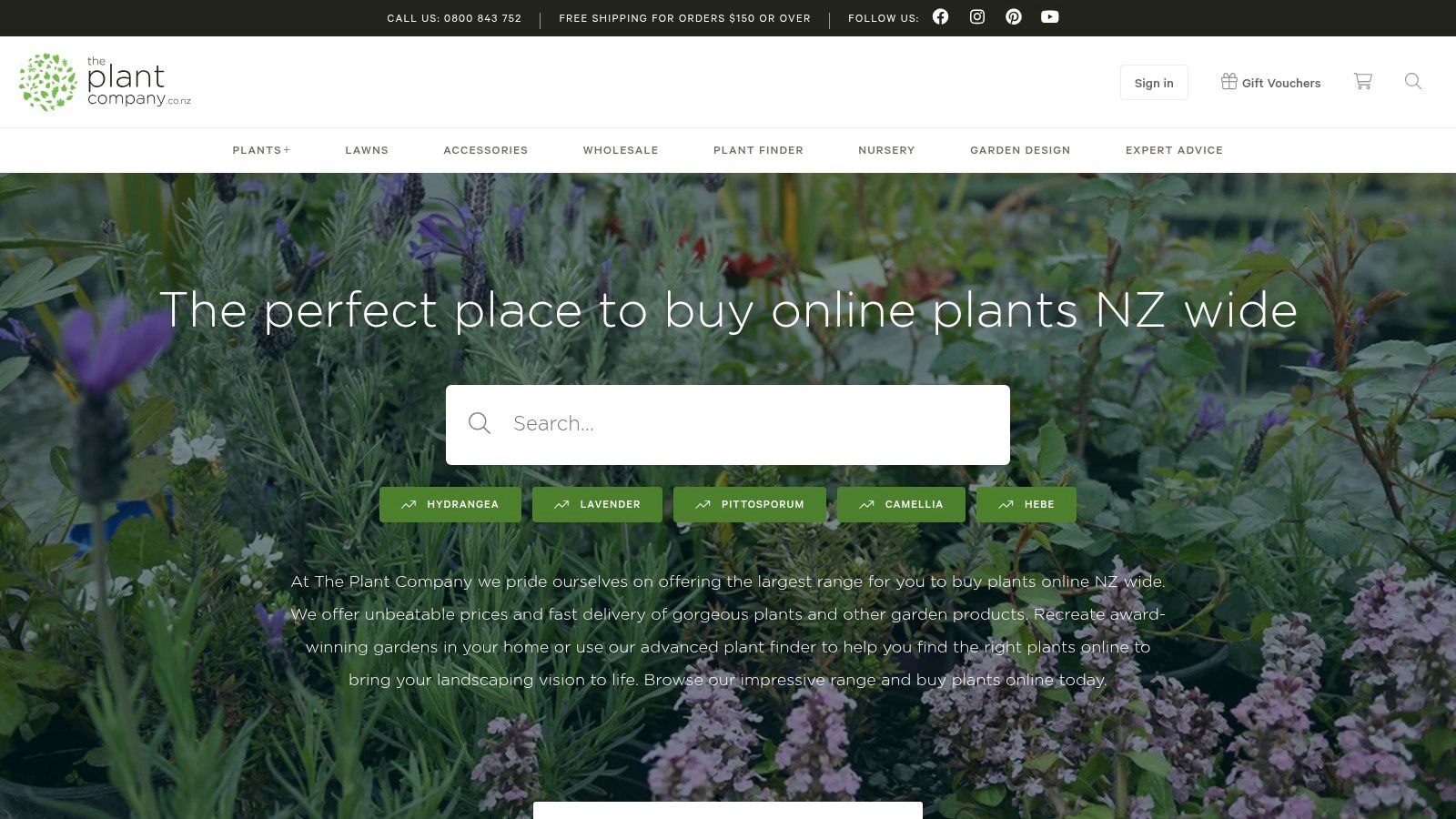 The Plant Company (online indoor plant store)