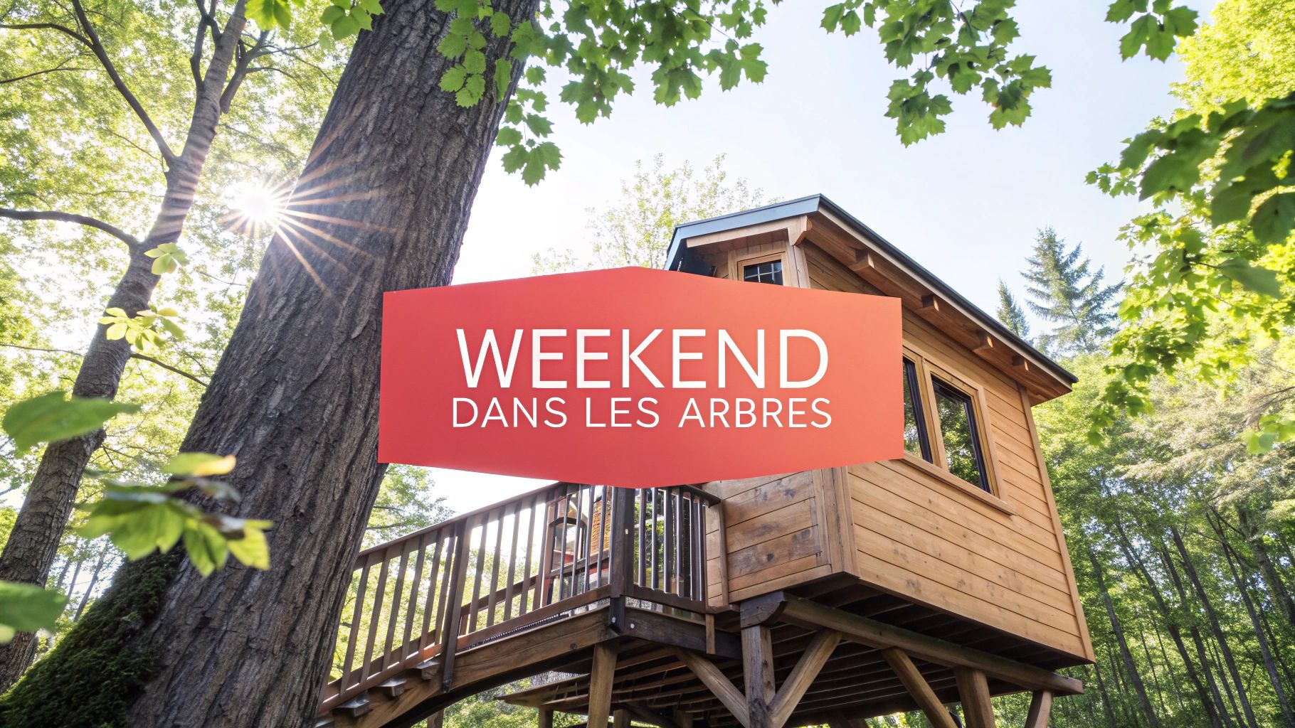 Votre weekend dans les arbres: 7 adresses uniques