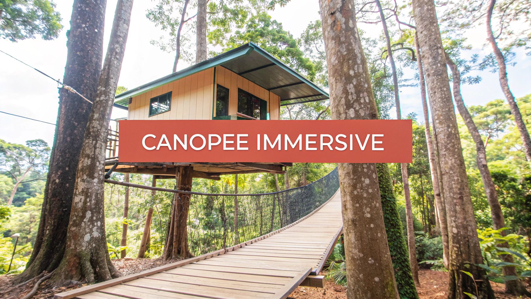treehouse-on-stilts-canopy-walk.jpg