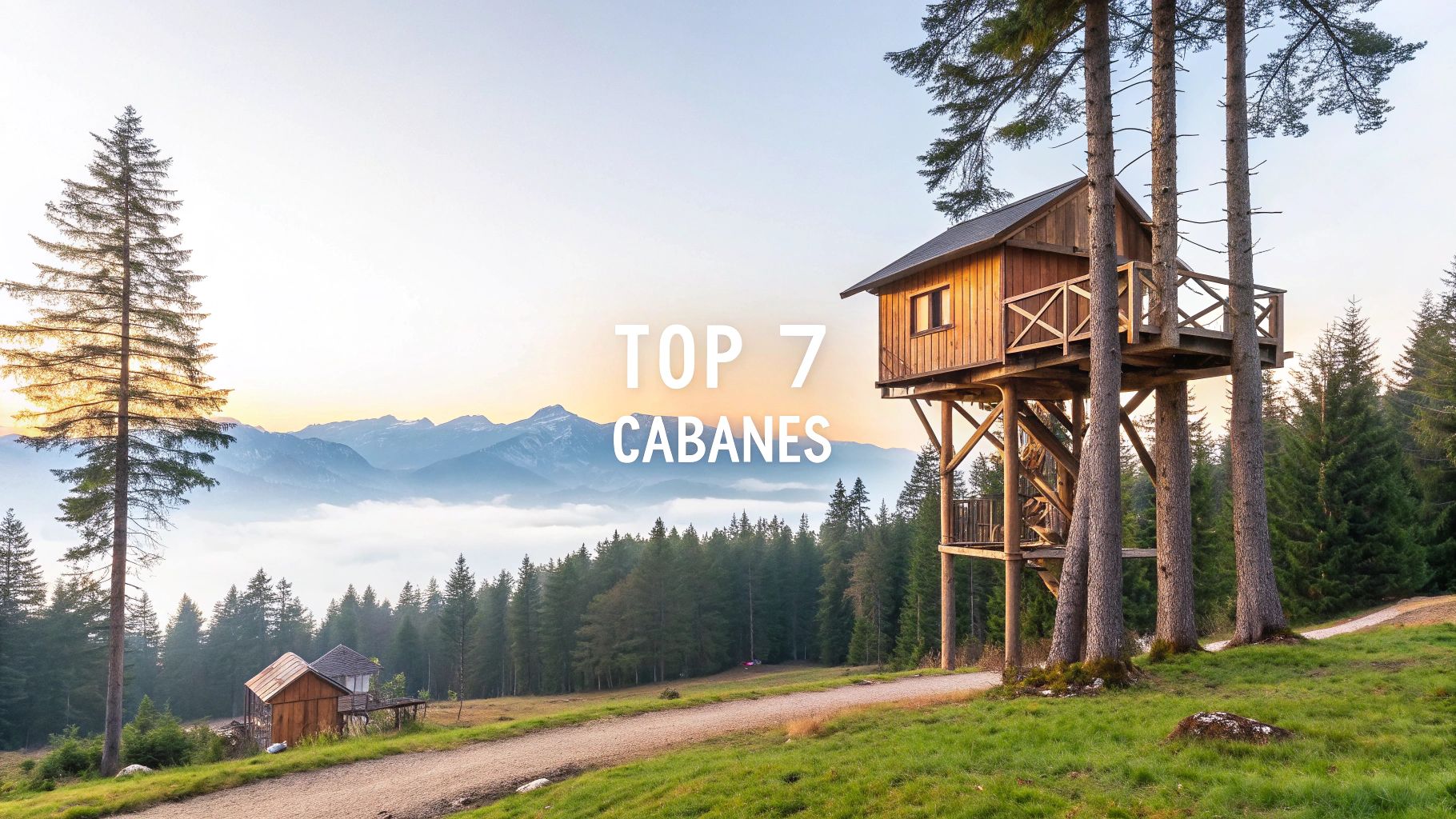Top 7 Cabanes dans les arbres Haute-Savoie en 2025