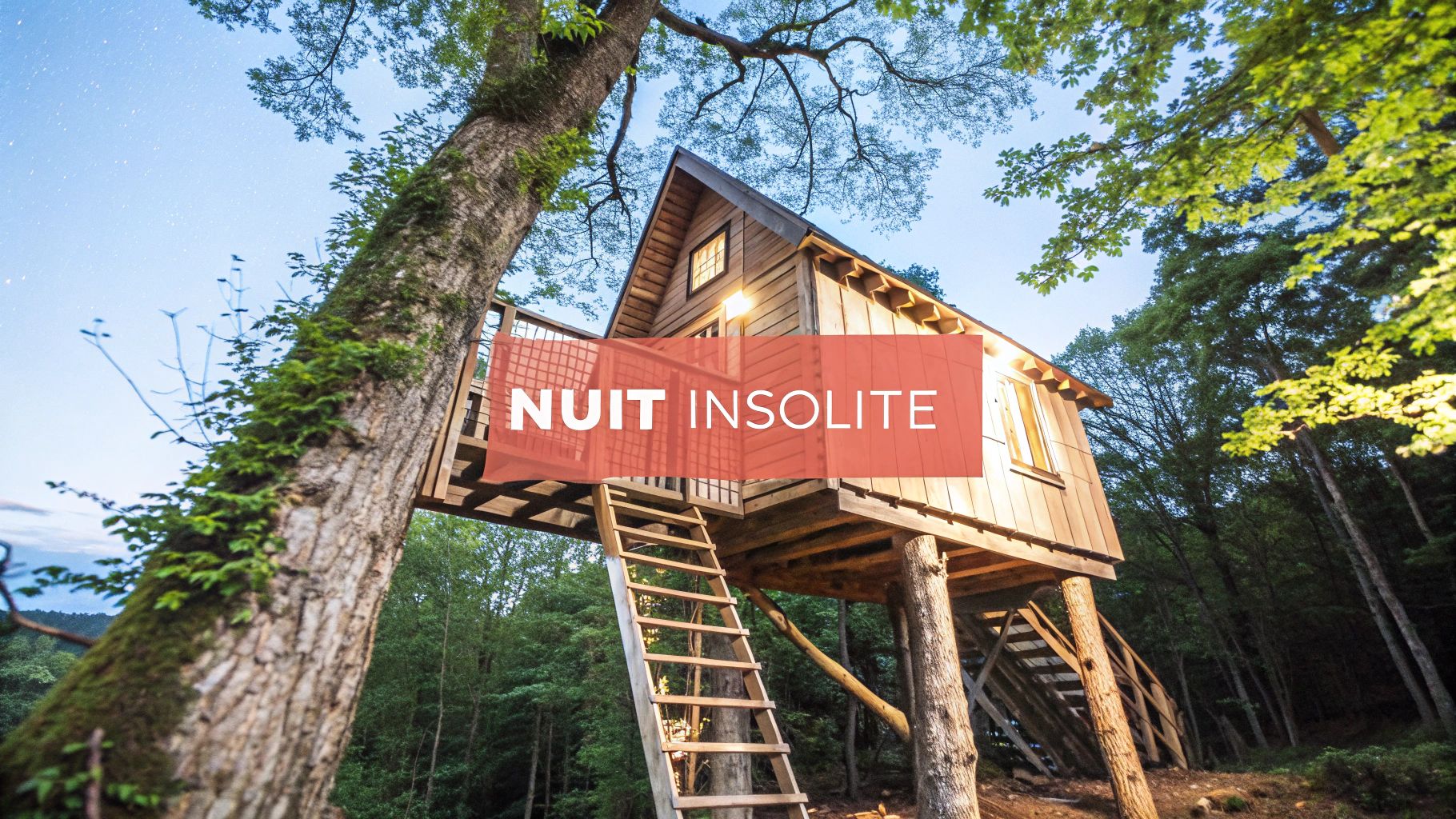 Nuit insolite dans les arbres: 7 options en France